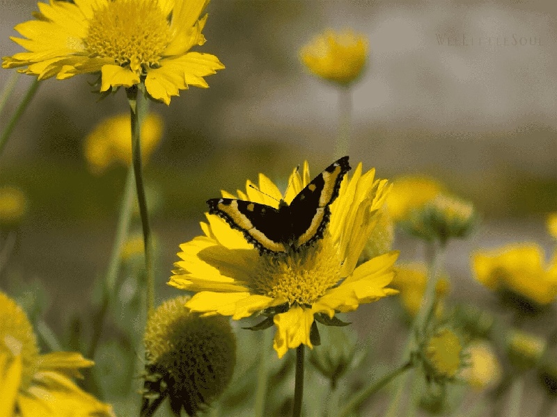 宿州能做试管嘛医疗试管行业前景北京试管医院涨价原因